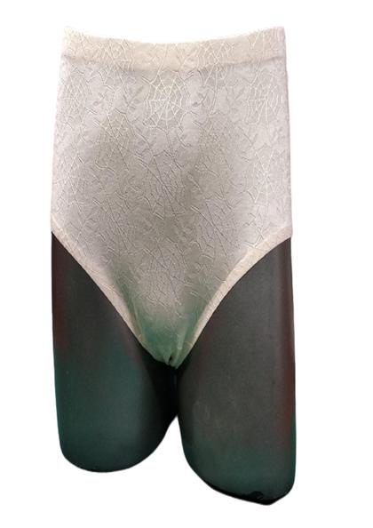 Buy Online P8021 SEAMLESS LIGHT CONTROL FULL BRIEF PANTY | Lovebird