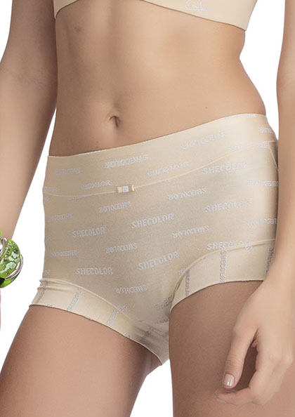 Buy Online Shecolor Silk No Panty Line Extra Soft Hipster Panty | Lovebird