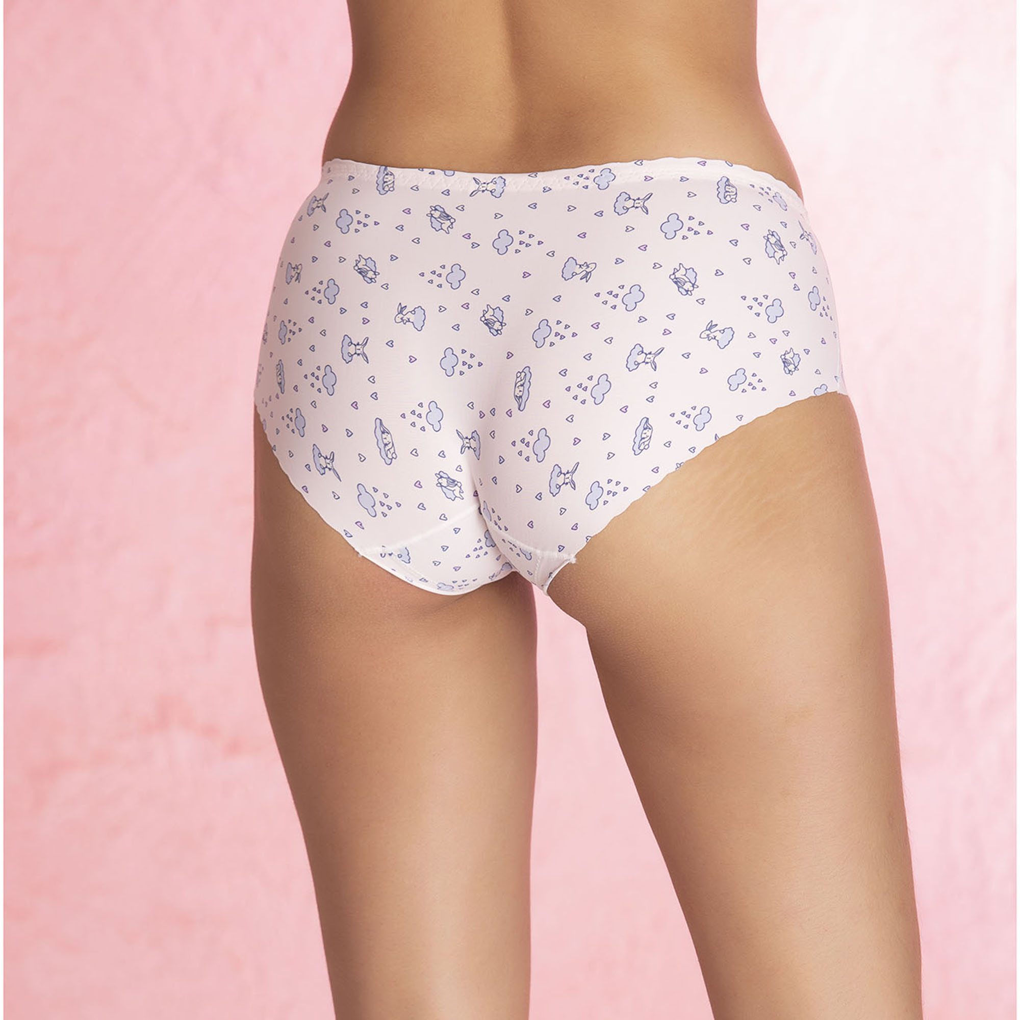 Printed Micro Modal No Panty Line Next To Skin Ultra Soft Hipster Panty