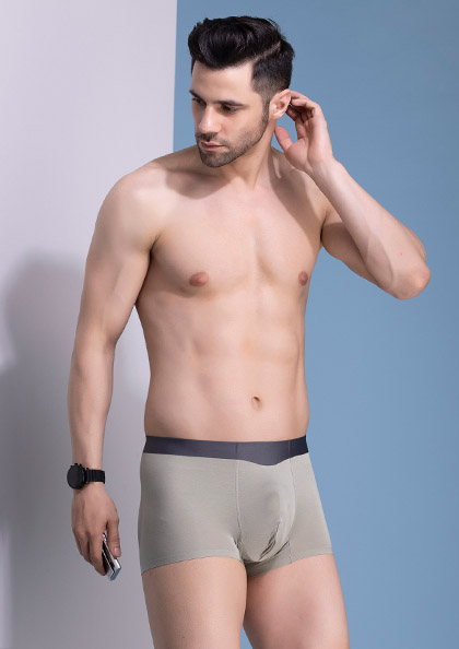 Buy Online Brief Soft Antimicrobal AntiOdor Modal Underwear Trunk  | Lovebird