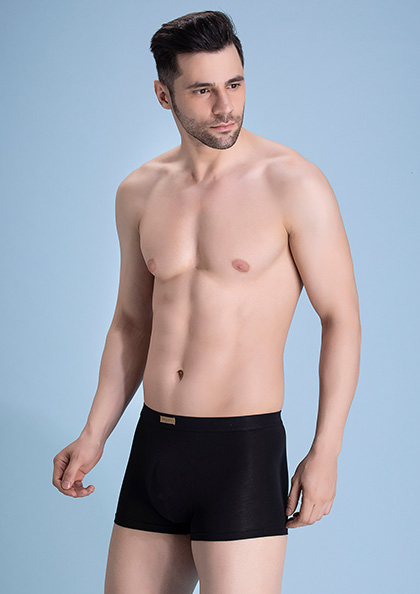 Buy Online Langben Highly Soft Antimicrobial Modal Men's Underwear Trunk | Lovebird