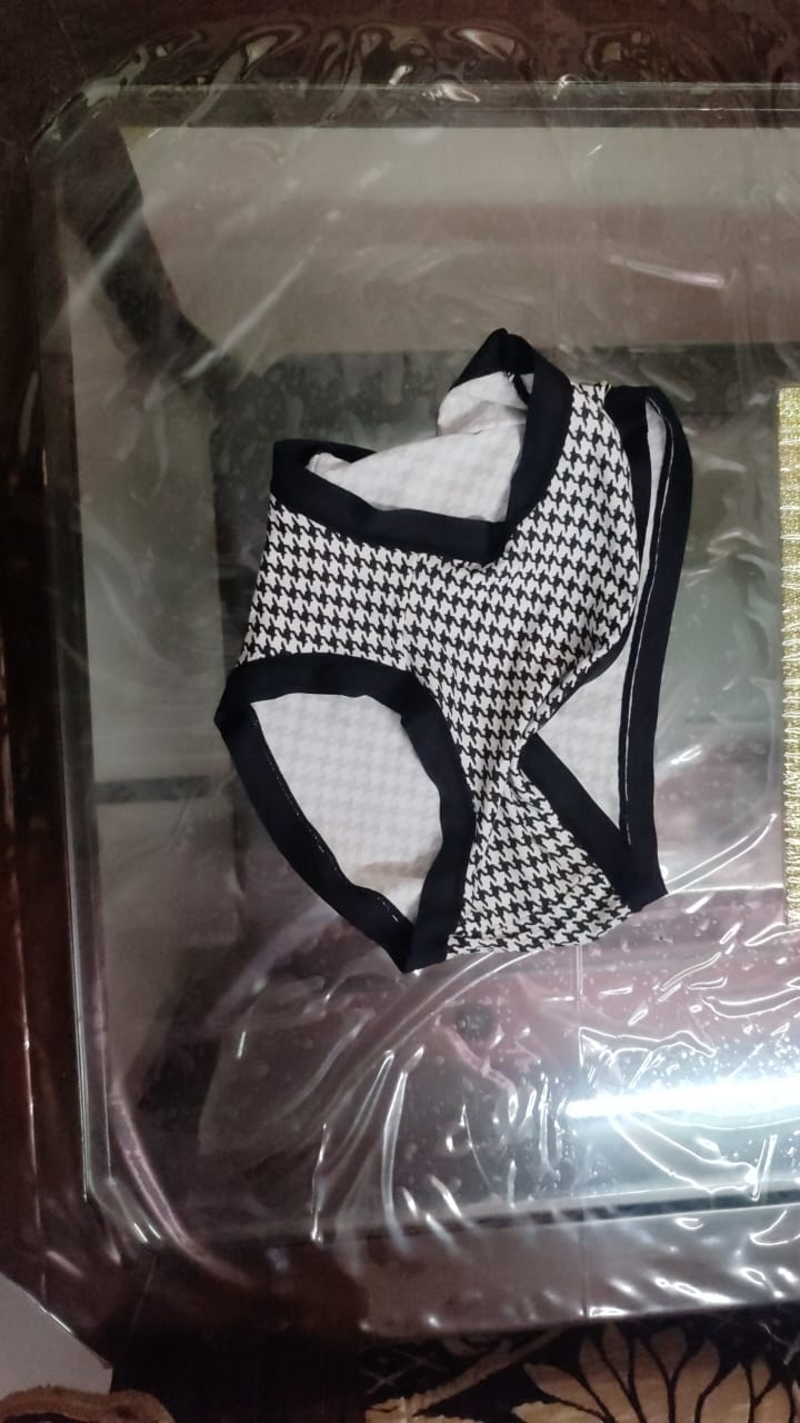 PC09 MODAL PANTY bra 5 star review image