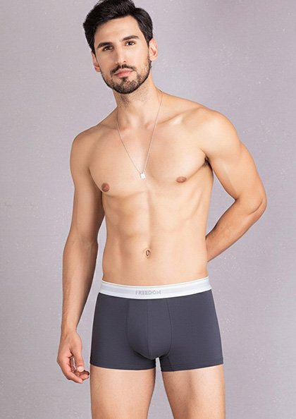 Buy Online Men Bamboo Fabric Soft Modal Underpants GMB8802 | Lovebird