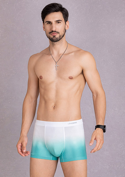 GENTS MODAL BRIEF 8813