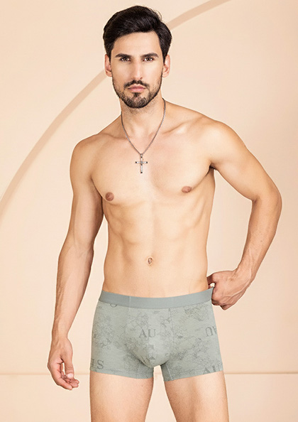 Buy Online Men Modal Bamboo Fabric Premium Briefs 8814 | Lovebird