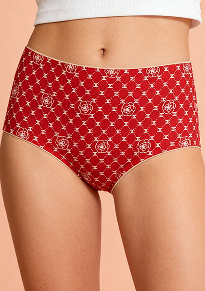 P2537 ICE SILK PANTY