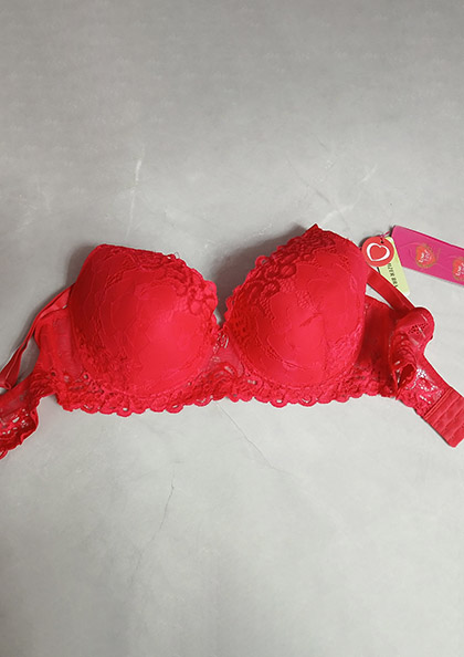 Buy Online YE04 Minimizer Bra | Lovebird